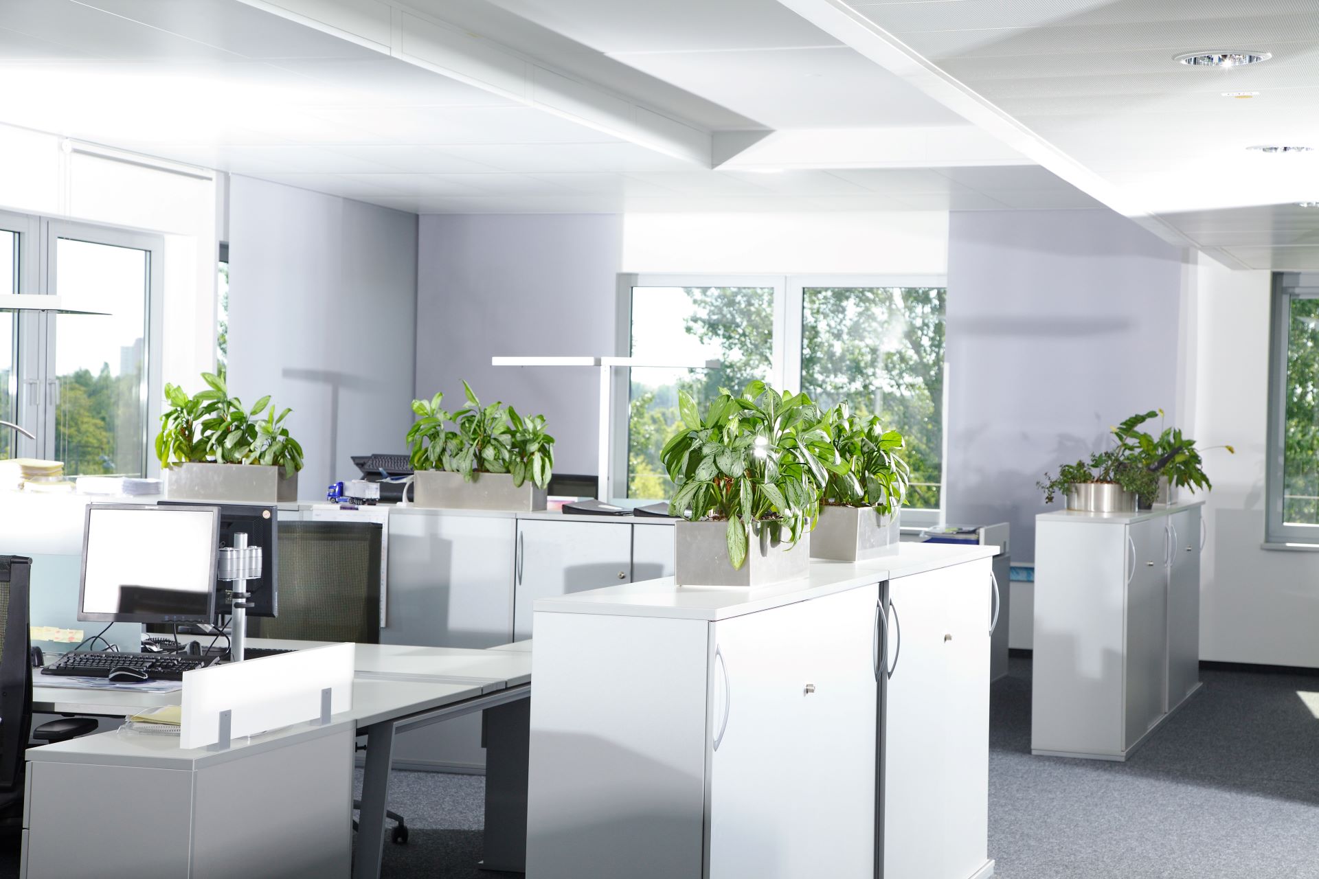 Resume Writing Services Netley SA